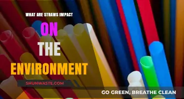 Straws' Environmental Impact: Uncovering the Hidden Costs of Convenience
