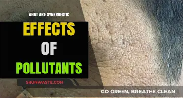 Harmful Interactions: Pollutants' Synergistic Effects