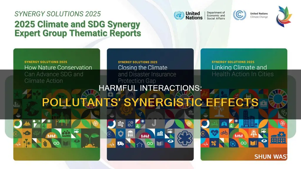 what are synergestic effects of pollutants