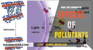 Harmful Interactions: Pollutants' Synergistic Effects Explained