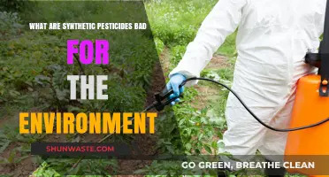Synthetic Pesticides: Environmental Harm and Sustainable Alternatives Explained