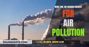 Causes of Air Pollution: Understanding the Reasons Behind It
