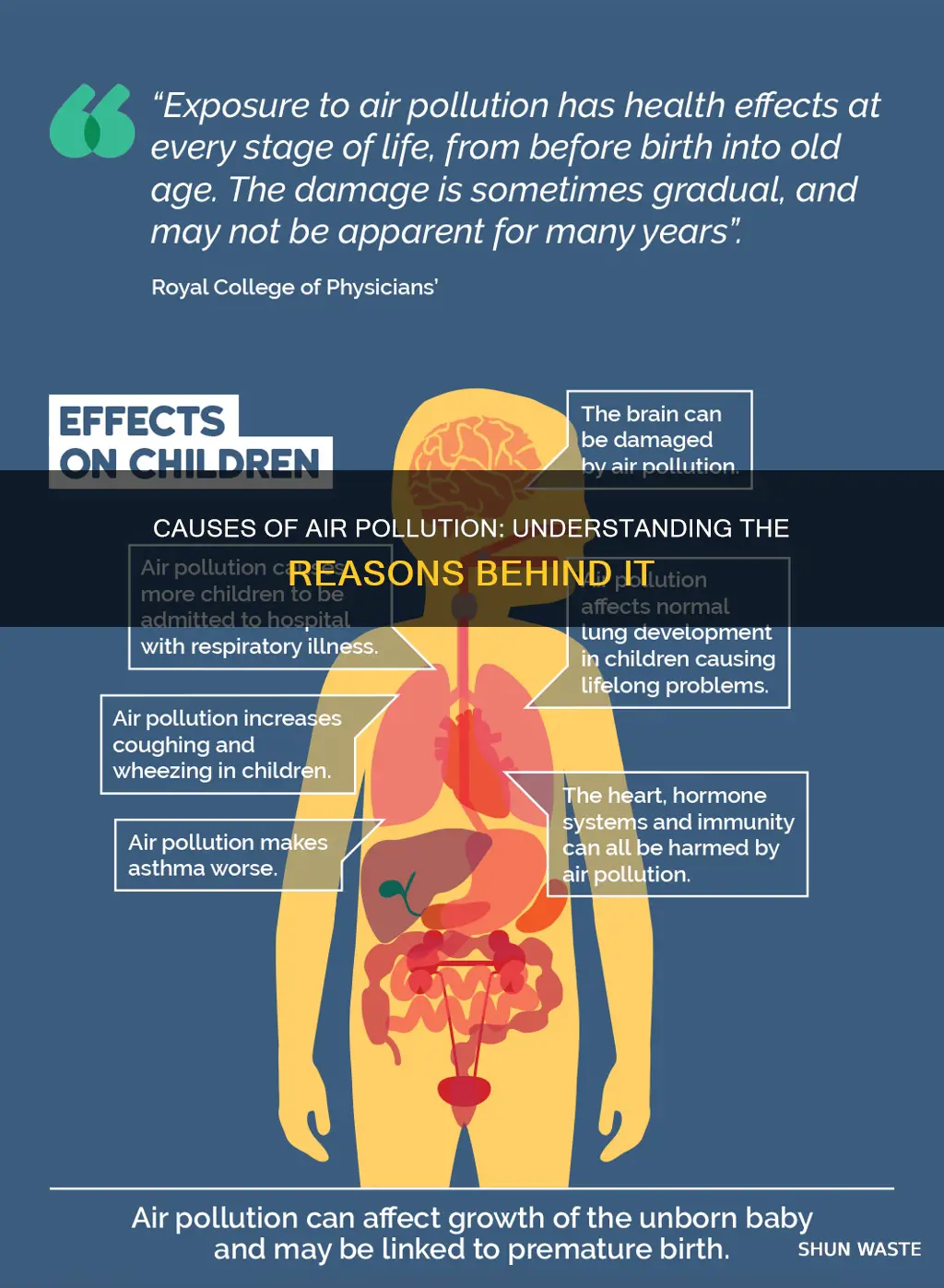 what are tbe reason cuasees for air pollution