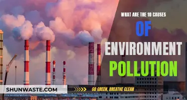 Unveiling the Top 10 Environmental Pollutants: A Comprehensive Guide