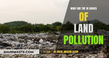 Unveiling the Hidden Dangers: 10 Causes of Land Pollution