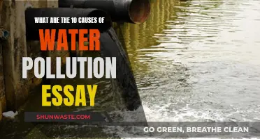 Unveiling the Hidden Dangers: 10 Causes of Water Pollution