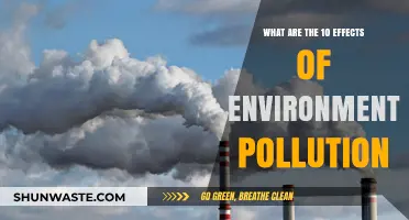 Pollution's Impact: 10 Devastating Effects on Our Environment