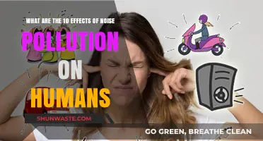 Noise Pollution: Harmful Impacts on Human Health
