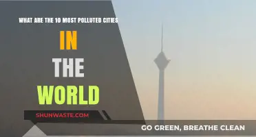 Polluted Cities: The Top 10 Worst Offenders