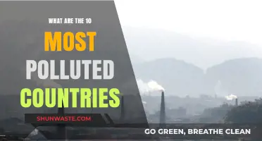 Polluted Nations: The Top 10 Worst Offenders Revealed