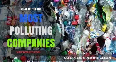 The Top Polluters: 100 Companies and their Environmental Impact