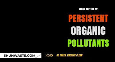 Persistent Pollutants: 12 Toxic Chemicals That Won't Go Away