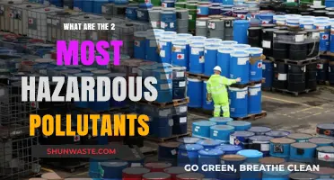 Hazardous Pollutants: The Two Most Dangerous Contaminants