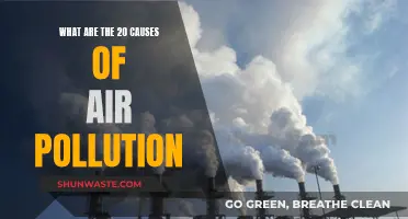 Unveiling the Hidden Causes: 20 Factors Behind Air Pollution