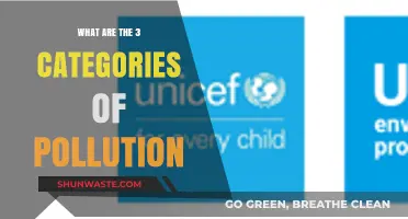 Understanding Pollution: The Three Main Categories