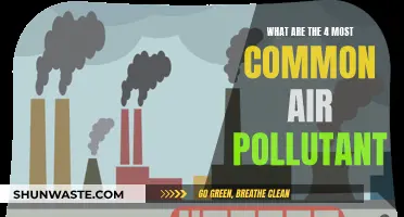 Air Pollutants: 4 Most Common Toxins in Our Air