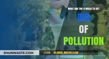 Eradicating Pollution: Four Simple Rules for a Cleaner World
