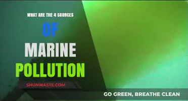 Understanding Marine Pollution: Four Key Sources