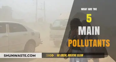 Air, Water, Soil: The Main Pollutants and Their Impact