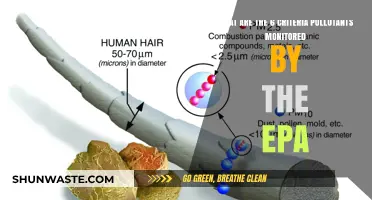 EPA Criteria Pollutants: Six Key Air Quality Measures