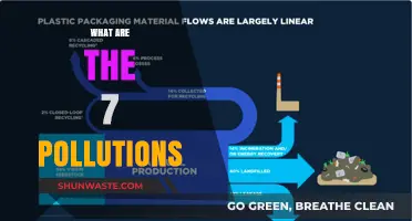 Pollution's Many Forms: Understanding the 7 Types