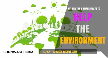 Eco-Friendly Living: 8 Simple Steps to Protect Our Planet