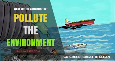 Human Activities Polluting Our Environment