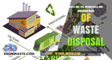Balancing Act: The Pros and Cons of Waste Disposal Methods