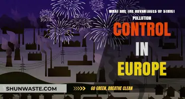 Strict Pollution Control: Europe's Clean Advantage