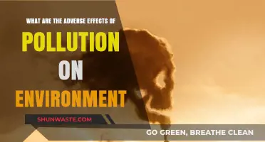 Pollution's Harmful Impact on Our Environment