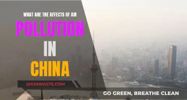 Air Pollution's Impact on China's Environment and Health