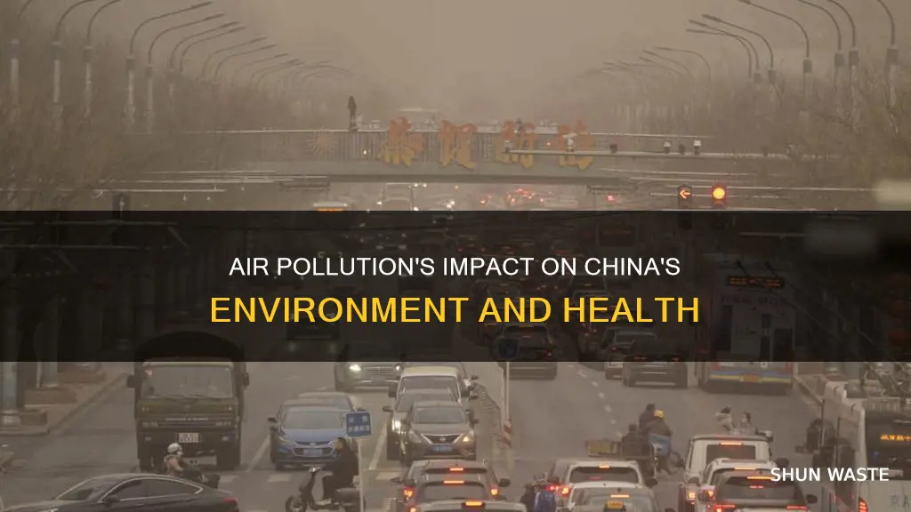 what are the affects of air pollution in china