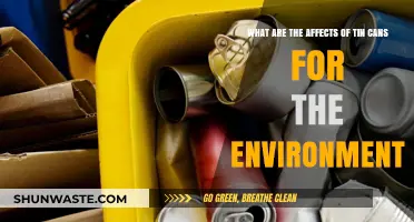 Tin Cans' Environmental Impact: Recycling, Waste, and Sustainability Explained