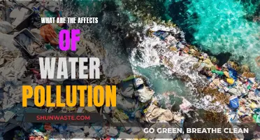 Water Pollution: Understanding Its Devastating Impacts and Consequences