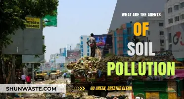 Soil Pollution: Understanding the Key Culprits