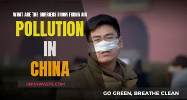 China's Air Pollution: Overcoming Obstacles to Breathe Easy