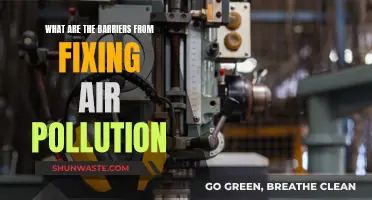 Air Pollution: Overcoming Obstacles to Breathe Easier