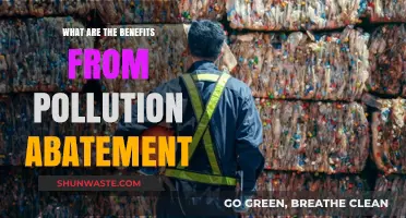 Pollution Abatement: A Healthier, Greener World