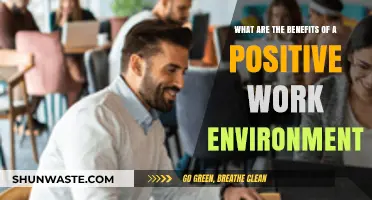 Boost Productivity and Morale: The Power of a Positive Work Environment