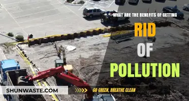 Breathing Easy: Benefits of a Pollution-Free World