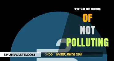 Protecting Our Planet: Benefits of Reducing Pollution