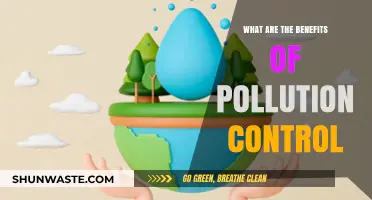 Pollution Control: Saving Money, Improving Health