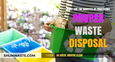 Eco-Friendly Habits: The Impact of Proper Waste Disposal