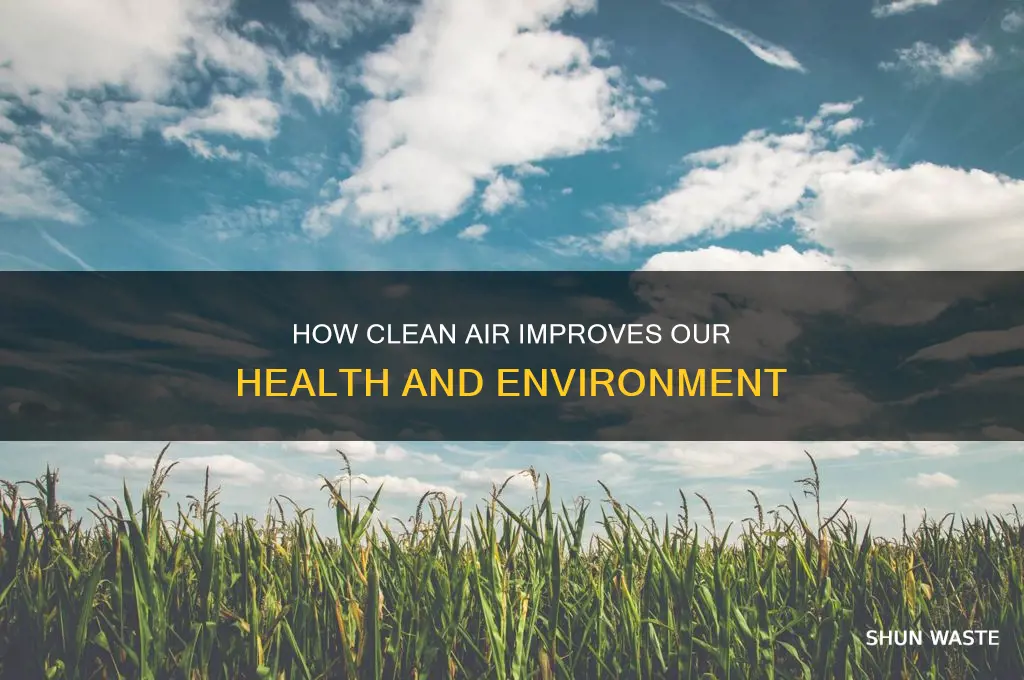 what are the benefits of reducing air pollution