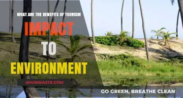Exploring Tourism's Environmental Benefits: Sustainable Travel's Positive Impact