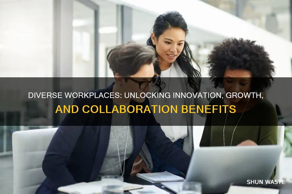 what are the benefits of working in a diverse environment