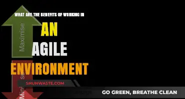 Boosting Productivity: Benefits of Working in an Agile Environment