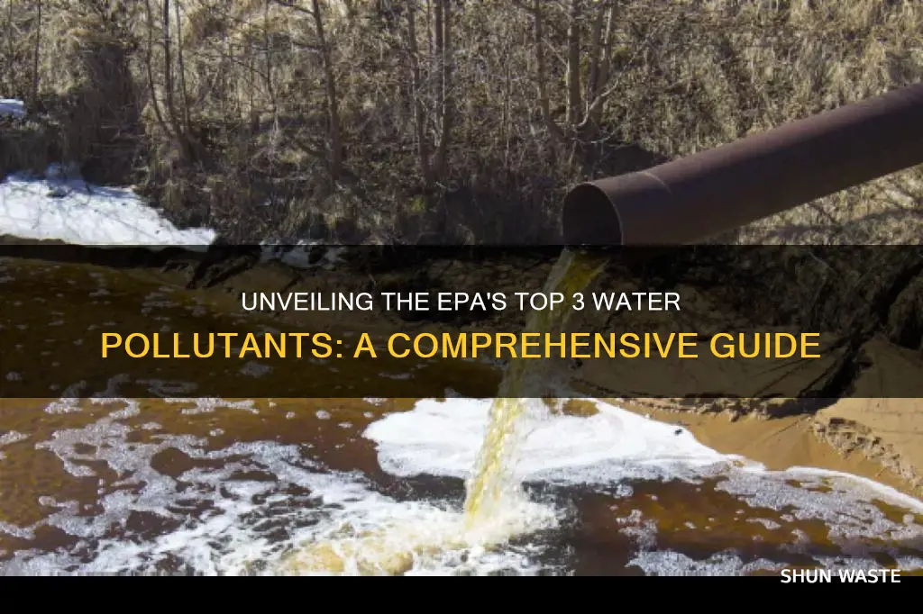 what are the big three pollutants of water for epa