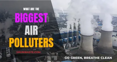 Air Polluters: The Worst Offenders Revealed