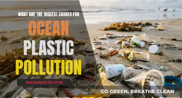 Unveiling the Top Sources of Ocean Plastic Pollution